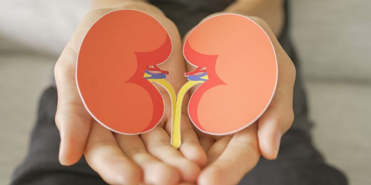 ce beneficii are consumul de ridichi negre, ridichile negre remediu pentru tuse, efect diuretic