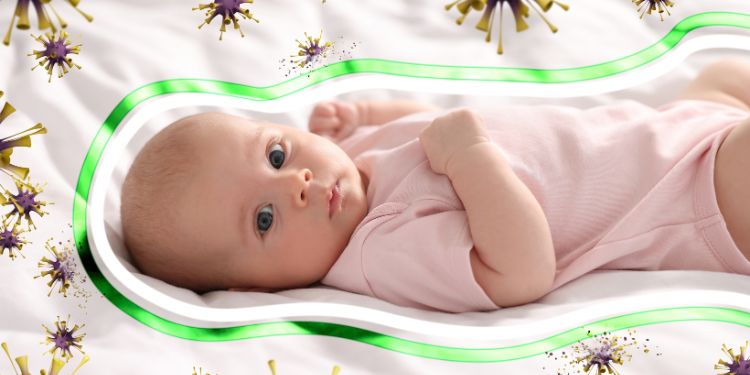 vaccinul hexavalent, ce este vaccinul hexavalent, ce rol are vaccinul hexavalent, cand se face vaccinul hexavalent, vaccinul hexavalent protectie oferita, ce contine vaccinul hexavalent, de ce boli protejeaza vaccinul hexavalent, beneficii vaccin hexavalent, reactii vaccin hexavalent,