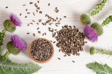 Armurariul: o singura planta, beneficii multiple