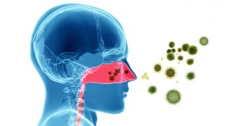 Simptome comune ale alergiei sezoniere? Nu va lasati „dusi de nas”!