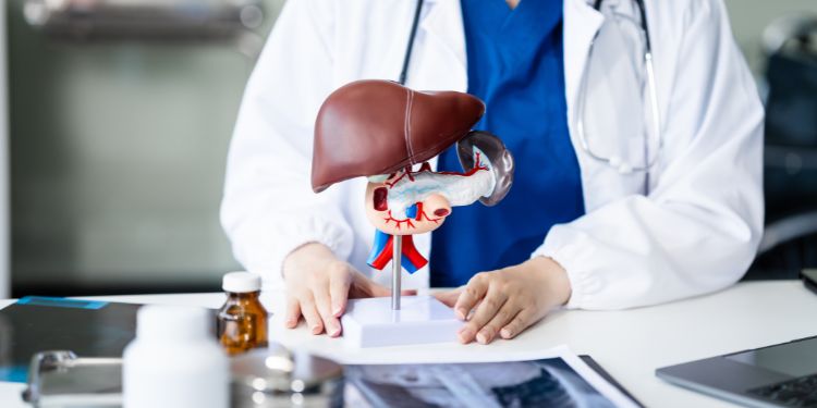 hepatita A tratament, recuperarea dupa hepatita A, 