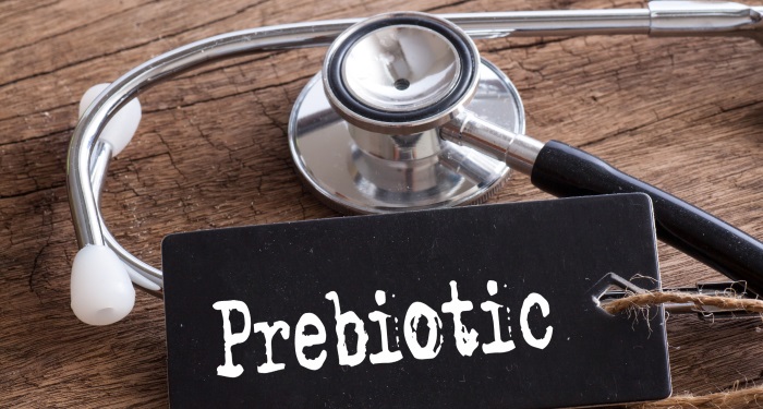 diferenta prebiotice probiotice 