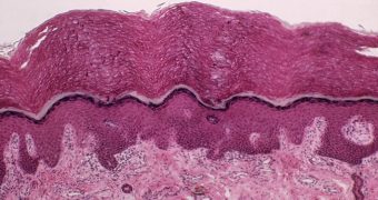 Un nou organ a fost descoperit in corpul uman