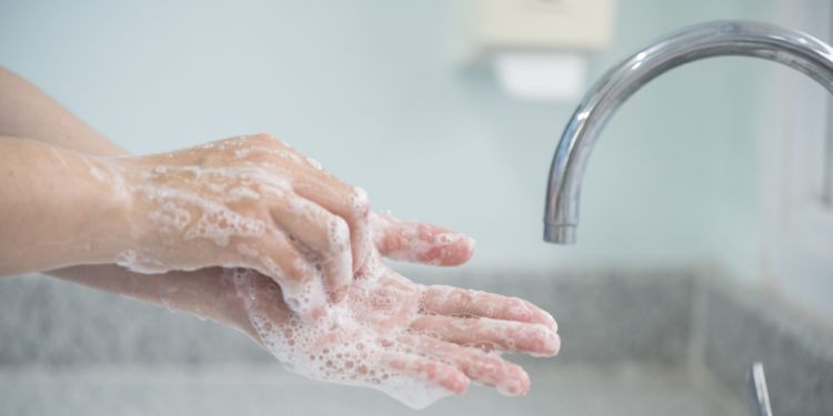 alimente toxiinfectie alimentara, care sunt alimentele ce pot cauza toxiinfectie alimentara, cum poti preveni toxiinfectia alimentara,