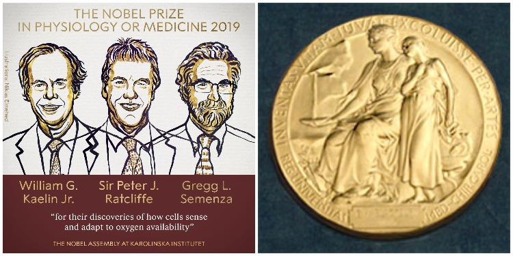 Trei cercetători au câştigat Premiul Nobel pentru Medicină 2019