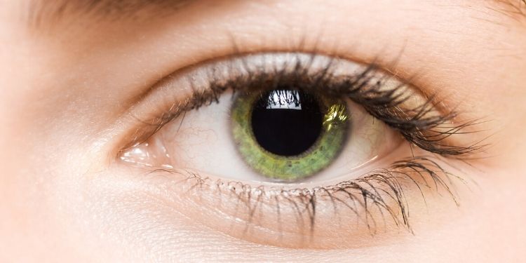 Ochii verzi sunt cei mai rari din lume