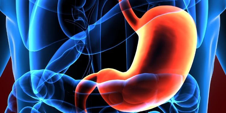 Acidul Gastric Poate Dizolva Fierul