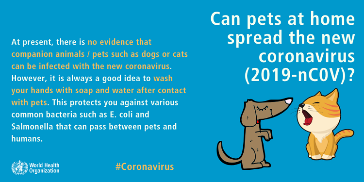 mituri coronavirus