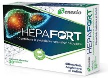 Hepafort – ficatul suprasolicitat trebuie protejat