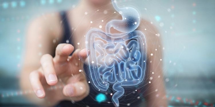 Bacteriile intestinale pot duce la angioame cavernoase