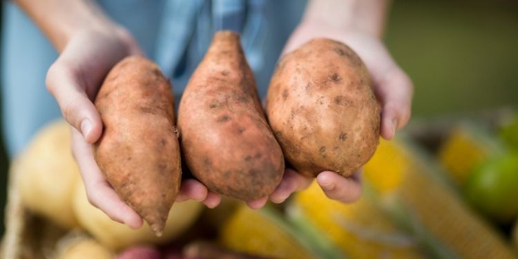 Care sunt mai sănătoşi, cartofii albi sau cartofii dulci?