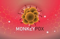 Variola maimuței: simptome și cum se transmite noul virus