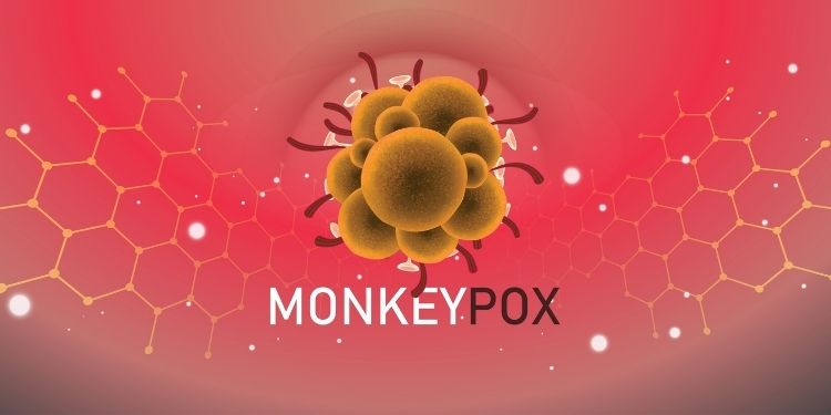 variola maimuţei, simptome variola maimuţei, virus, infecţie virală, Europa,