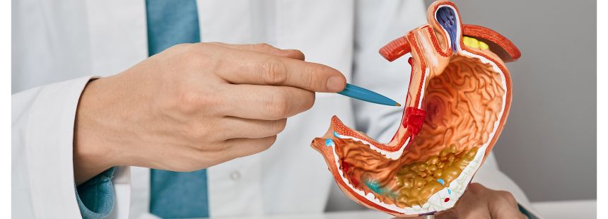 Cele mai frecvente afecțiuni gastrointestinale în rândul tinerilor