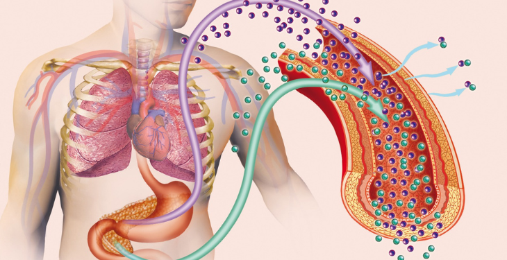 pancreas artificial, diabet, diabet zaharat, diabet de tip 2, schema tratament diabet, 