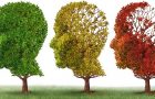 Alzheimer. Factori de risc. Simptome şi stadii