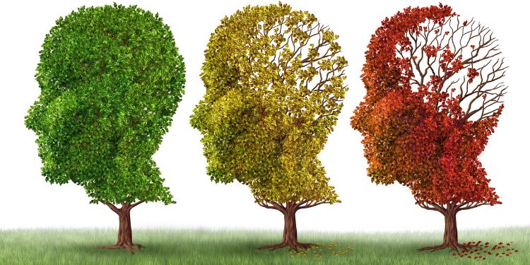 Alzheimer. Factori de risc. Simptome şi stadii