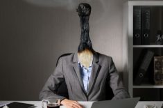Sindromul burnout. Cum îl recunoaşteţi şi cum îl gestionaţi?