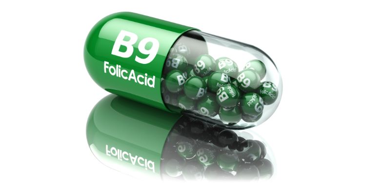 acid folic, vitamina B9,