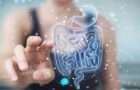 Sănătatea intestinului influențează întregul organism