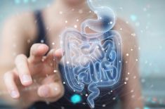 Sănătatea intestinului influențează întregul organism