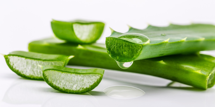 remedii naturale pentru indigestie, cauze indigestie, tratament indigestie, remedii indigestie, leacuri indigestie,