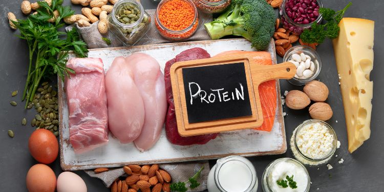 Proteine animale versus proteine vegetale