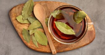 Ceai de dafin, proprietăți terapeutice