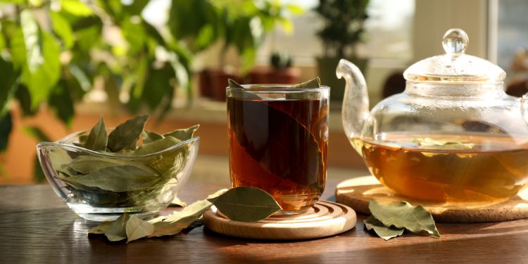 ceai de dafin, Laurus nobilis, frunze de dafin, dafin, ceai, eugenol,