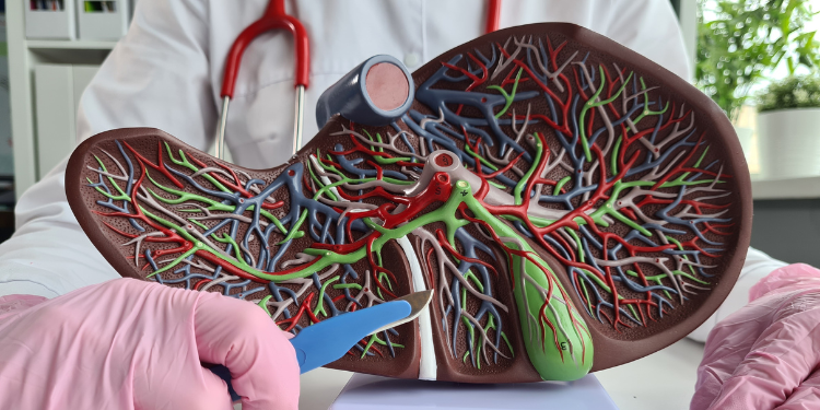 chist hidatic hepatic, factori de risc, tratament, parazit,