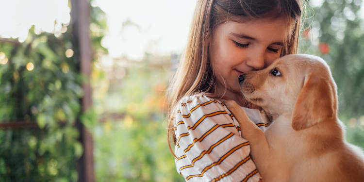 ce beneficii ofera un caine, caine in casa riscuri, boli transmise de caini, beneficii ale cainelui asupra sanatatii, anxietate, singuratate,