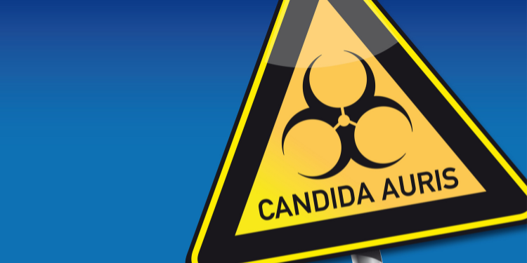 Candida auris: ce este, factori de risc, diagnostic și management