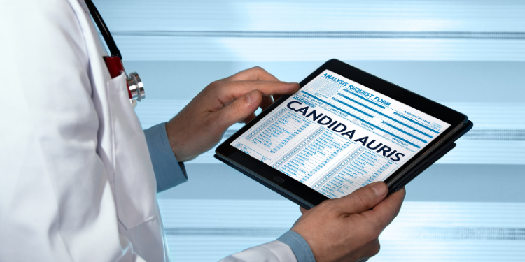 Candida auris: ce este, factori de risc, diagnostic și management