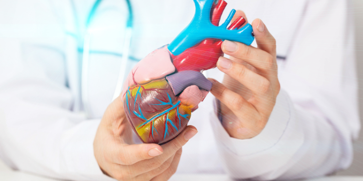 angina pectorala, simptome angina pectorala, tratament angina pectorala, miocard, infarct miocardic, 