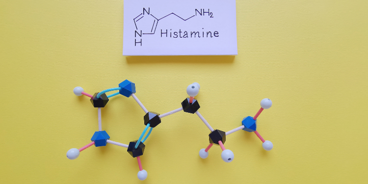 intoleranta la histamina, tulburari metabolice, alergii, simtome intoleranta la histamina, remedii intoleranta la histamina, alimente cu histamina, 