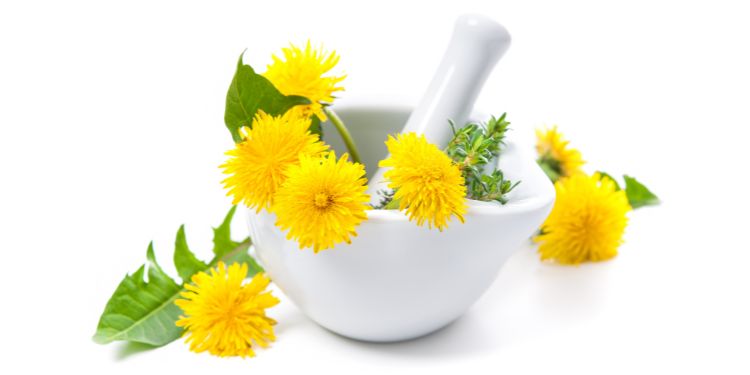 cele mai bune suplimente pentru ficat, suplimente pentru ficat, protectie hepatica, detoxifiere ficat, ingrediente pentru sanatatea ficatului, silimarina, turmeric ficat, suplimente hepatoprotectoare,