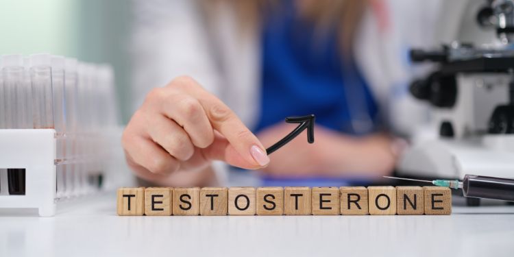 Testosteron femei. Ce este normal, când devine o problemă? Cauze și soluții pentru testosteron mărit la femei