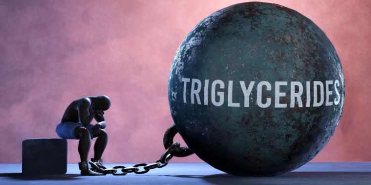 Trigliceride, valori normale. Trigliceride crescute – cauze, riscuri și complicații
