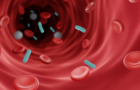 Sepsis: ce este și de ce reprezintă o urgență medicală?
