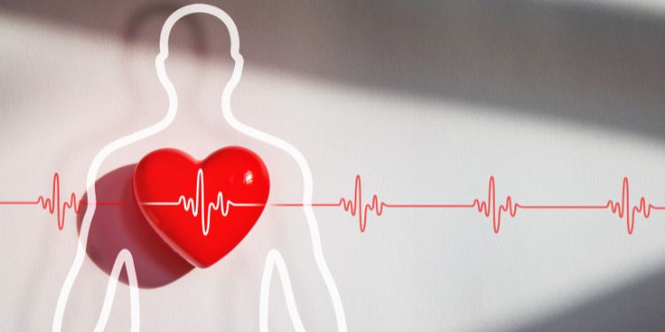 boli cardiovasculare cauzate de stres, ce se intampla in corp atunci cand suntem stresati, cum se manifesta stresul,