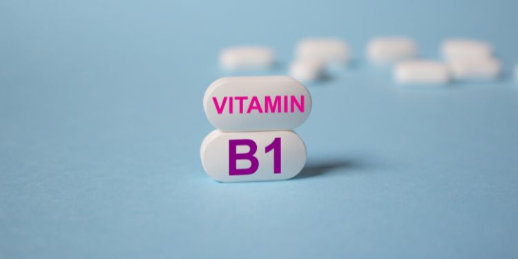 Vitamina B1 (tiamina). Roluri. Funcții. Importanță și surse alimentare