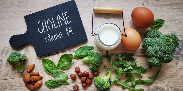 surse alimentare colina, 