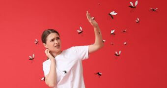 Prevenția mușcăturilor de insecte: repelenți, haine adecvate, sfaturi practice