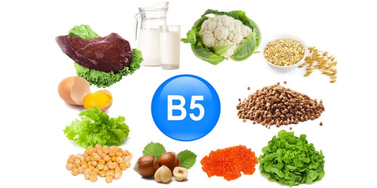 surse alimentare acidul pantotenic, surse alimentare vitamina B5,