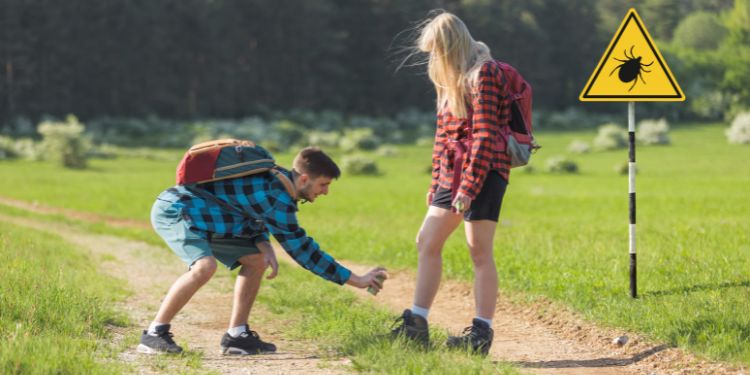 cum prevenim muscaturile de insecte, sfaturi pentru a preveni muscaturile de insecte, repelenti,