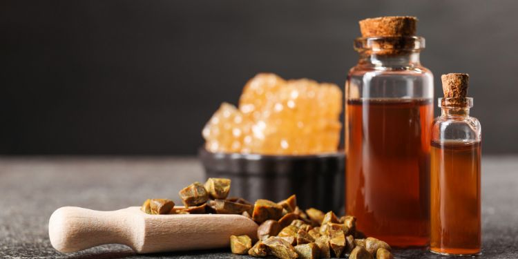 Extract de propolis, beneficii uimitoare pentru întregul corp