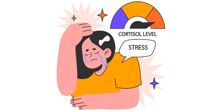 Cortizol = „hormonul stresului”. Ce se întâmplă în caz de exces
