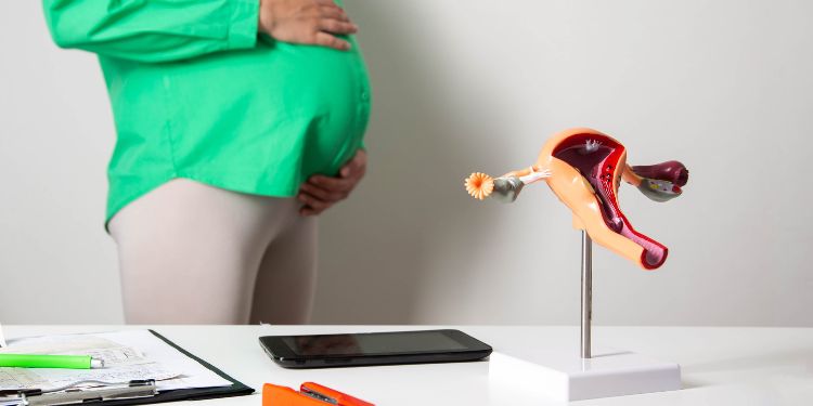 infectii genitale in sarcina,