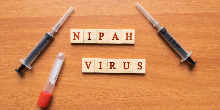 Noul virus Nipah: ce este, cum se transmite și de ce autoritățile se tem de o nouă pandemie