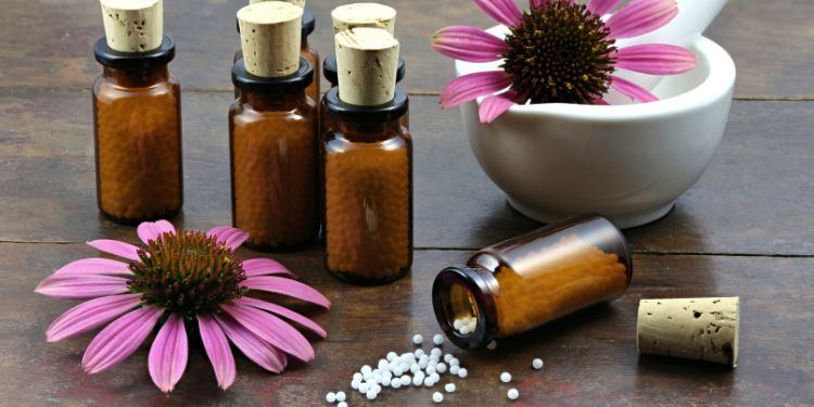 echinacea